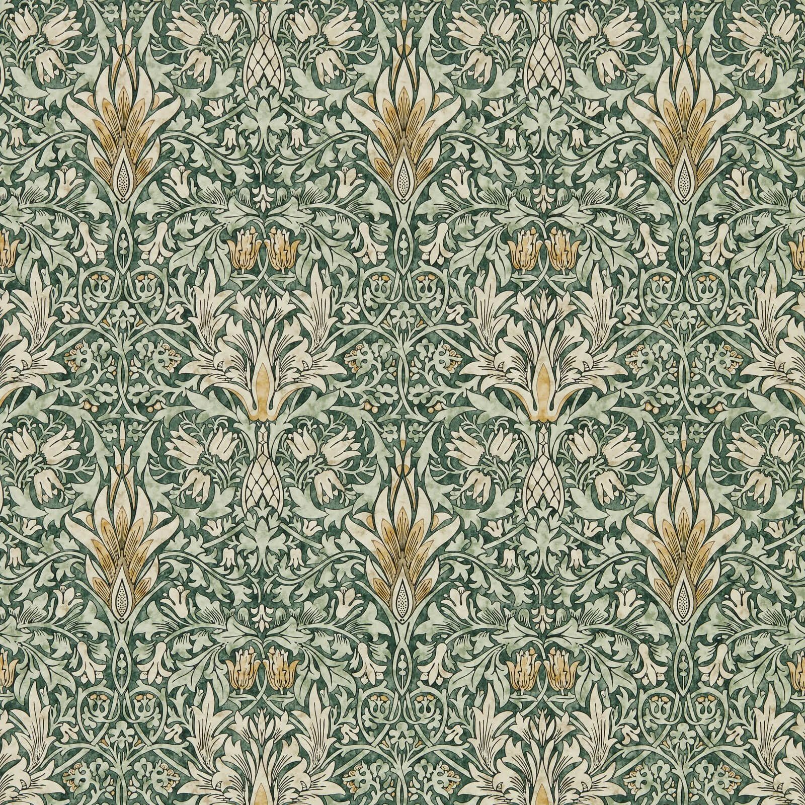 Snakeshead Morris & Co.
