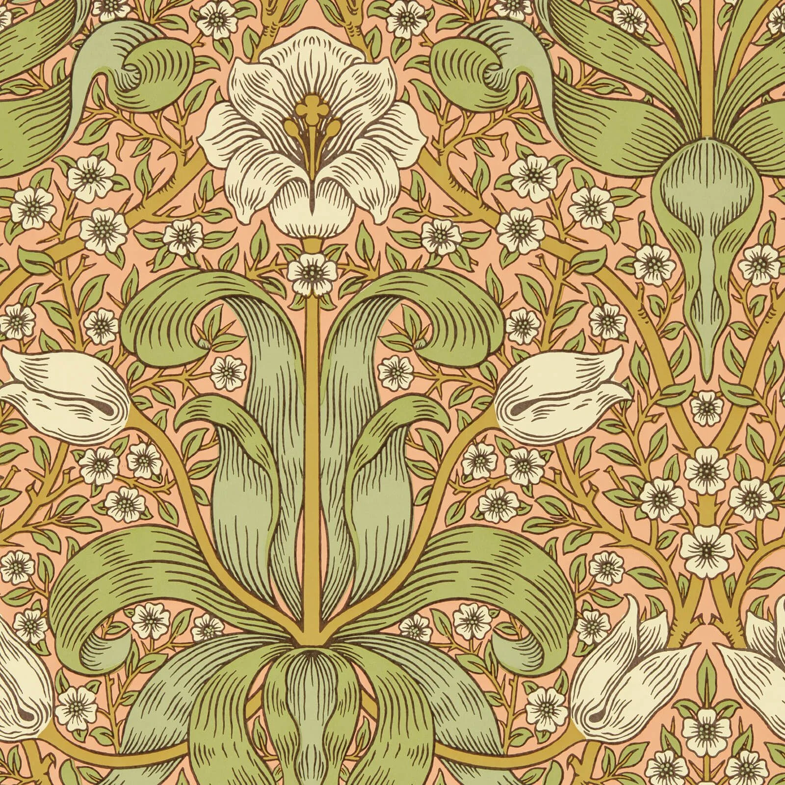 Spring Thicket Morris & Co.