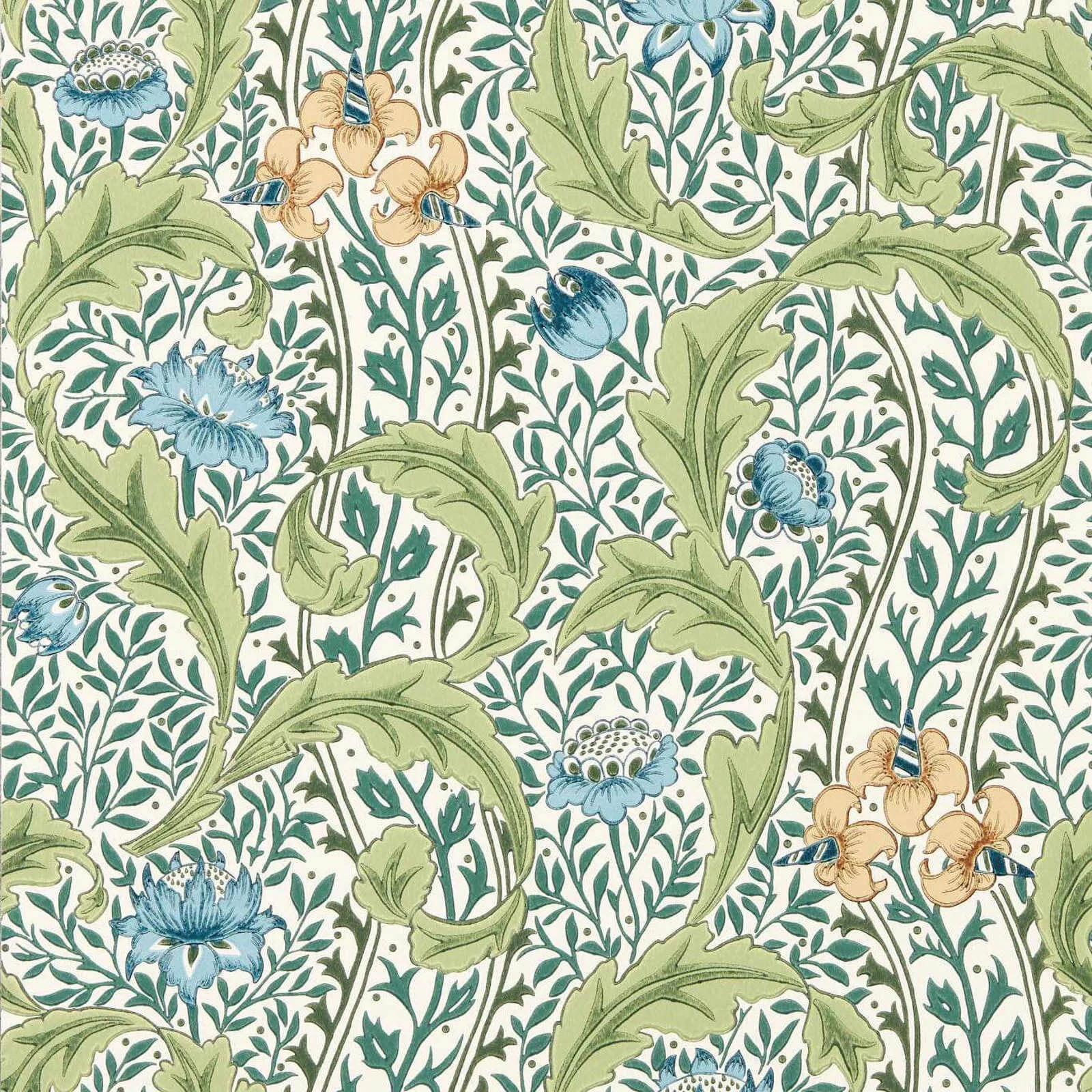 Wild Tulip & Vine Morris & Co.