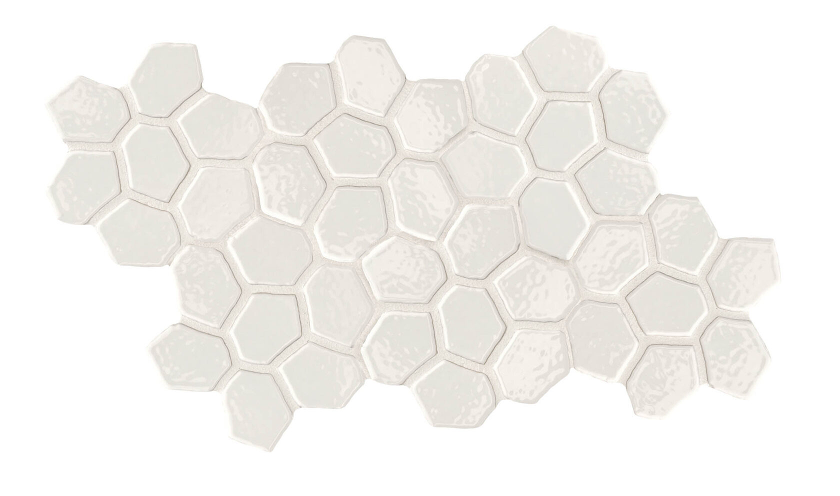 Seed White Glossy Mutina, Botanica