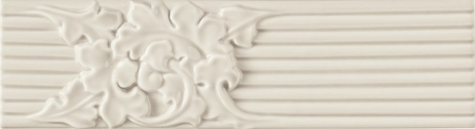 Agave Glossy Grazia, New Classic