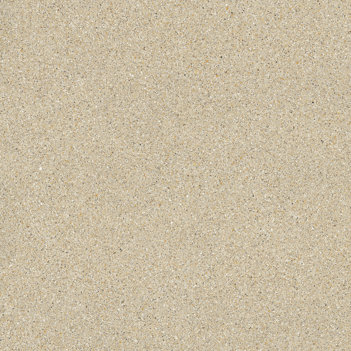 Foscari Levigato polished FMG, Palladio