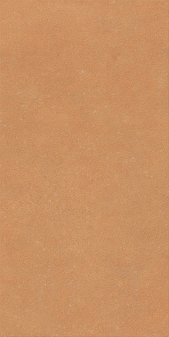 Grains Terra 41zero42, NOK