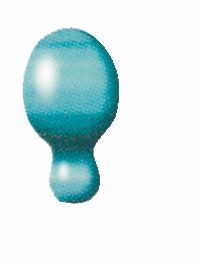 Sguscio Angolo Esterno Azzurro Tonalite, Provenzale