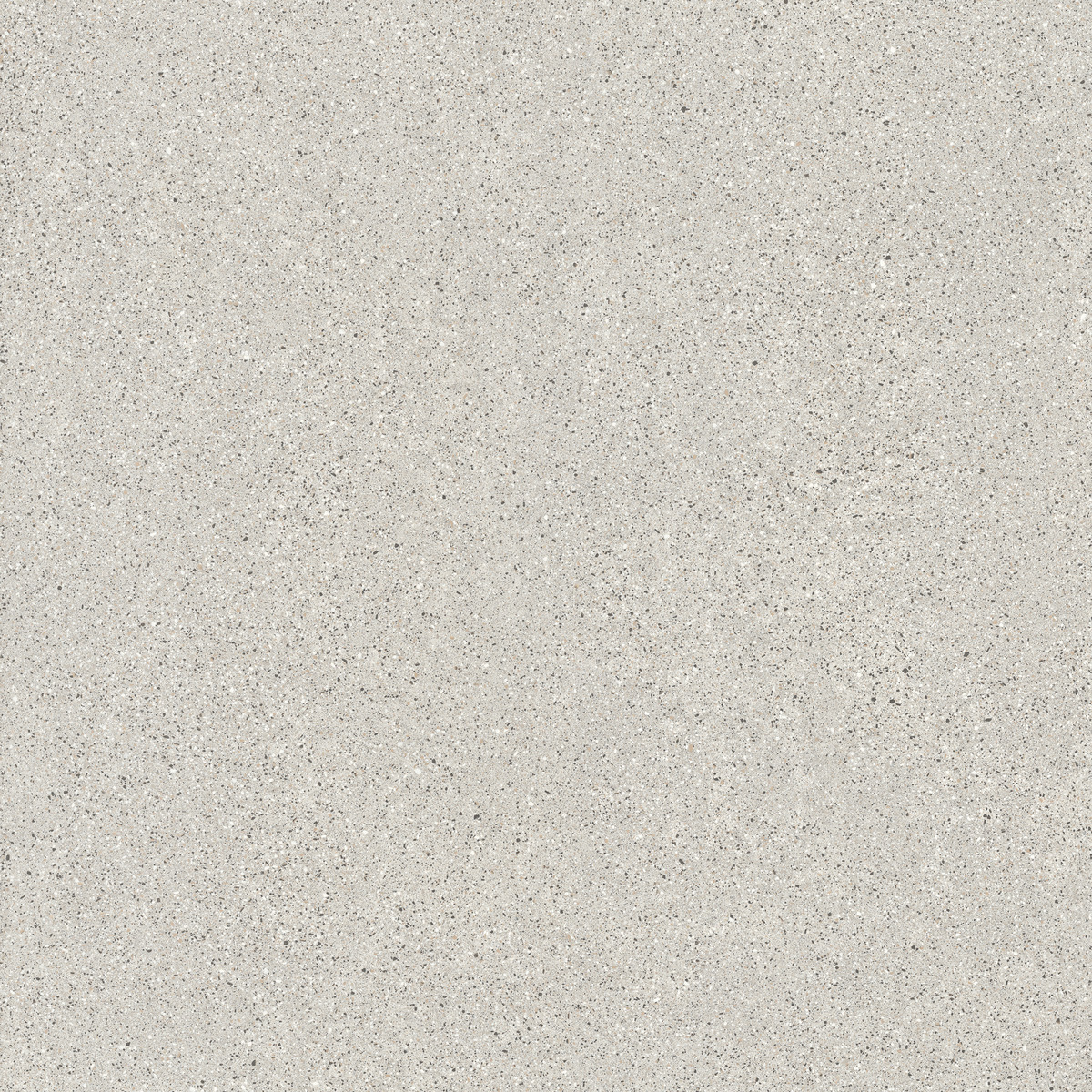 Certosa Levigato polished FMG, Palladio