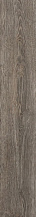 Grey Ret Atlas Concorde, Arbor