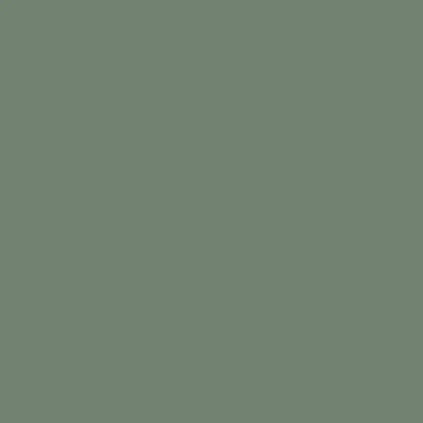 Verde Chiaro Bardelli