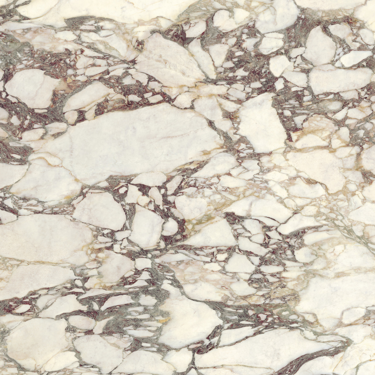 Breccia Medicea FMG, Marmi Maxfine