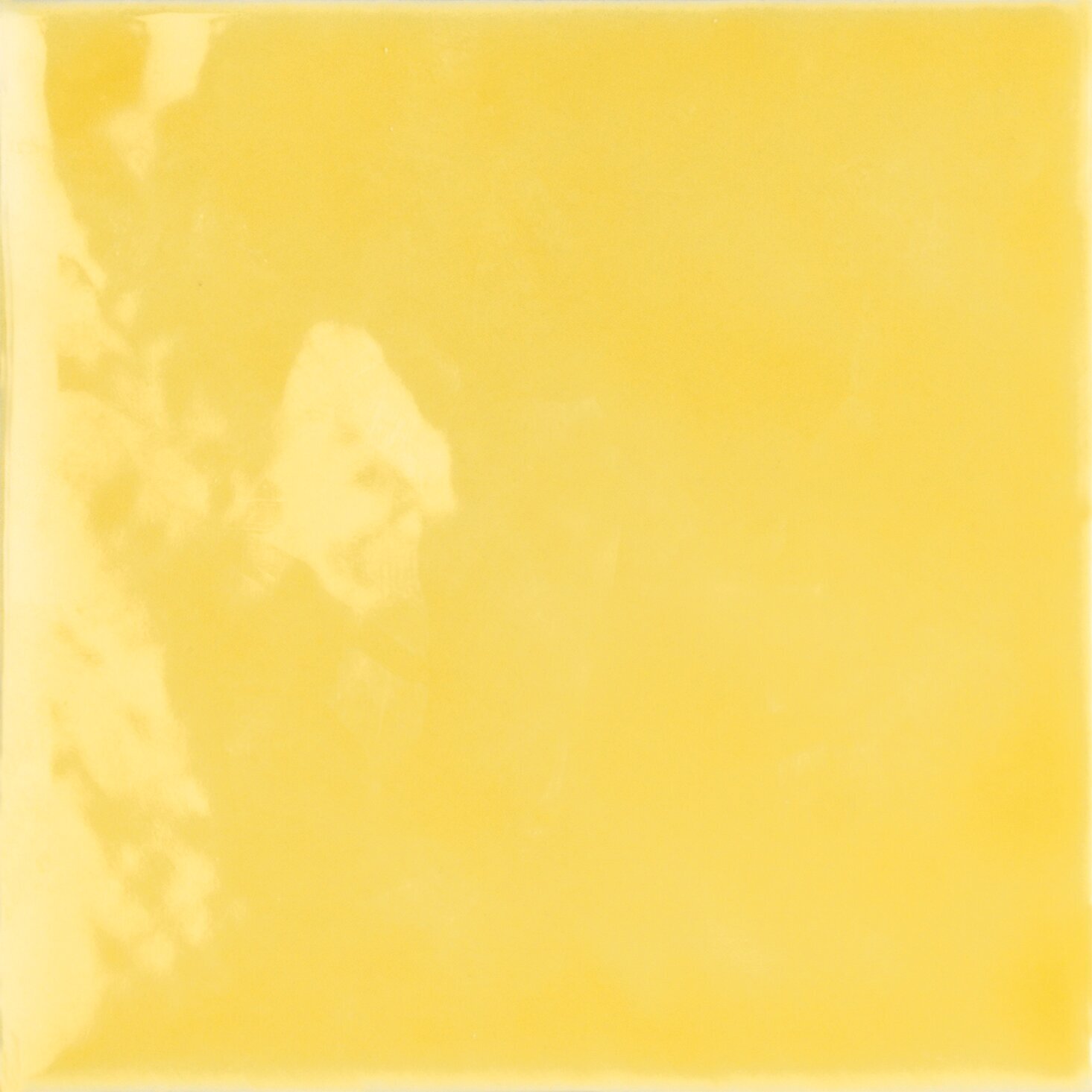 Prugna Tonalite, Fluid