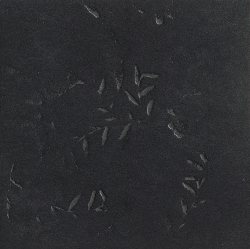 Impronta Black Mutina, Chymia