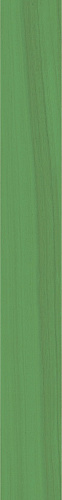 Herb 41zero42, TECHNICOLOR