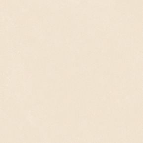 Ivory 41zero42, NOK