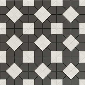 Suit B&W Plus WOW, TESSERAE