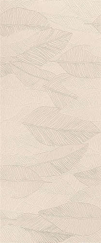 Cream Leaf Lux Atlas Concorde, Aplomb
