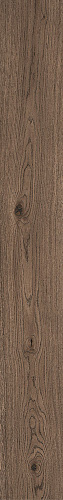Castano MARAZZI, VIVO