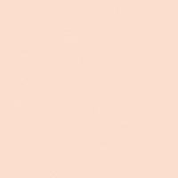 Rose 41zero42, PIXEL41