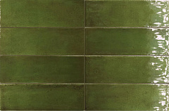 Green Gloss EQUIPE, FANGO