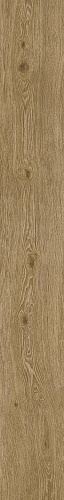 Cabernet Atlas Concorde Russia, Wine Oak