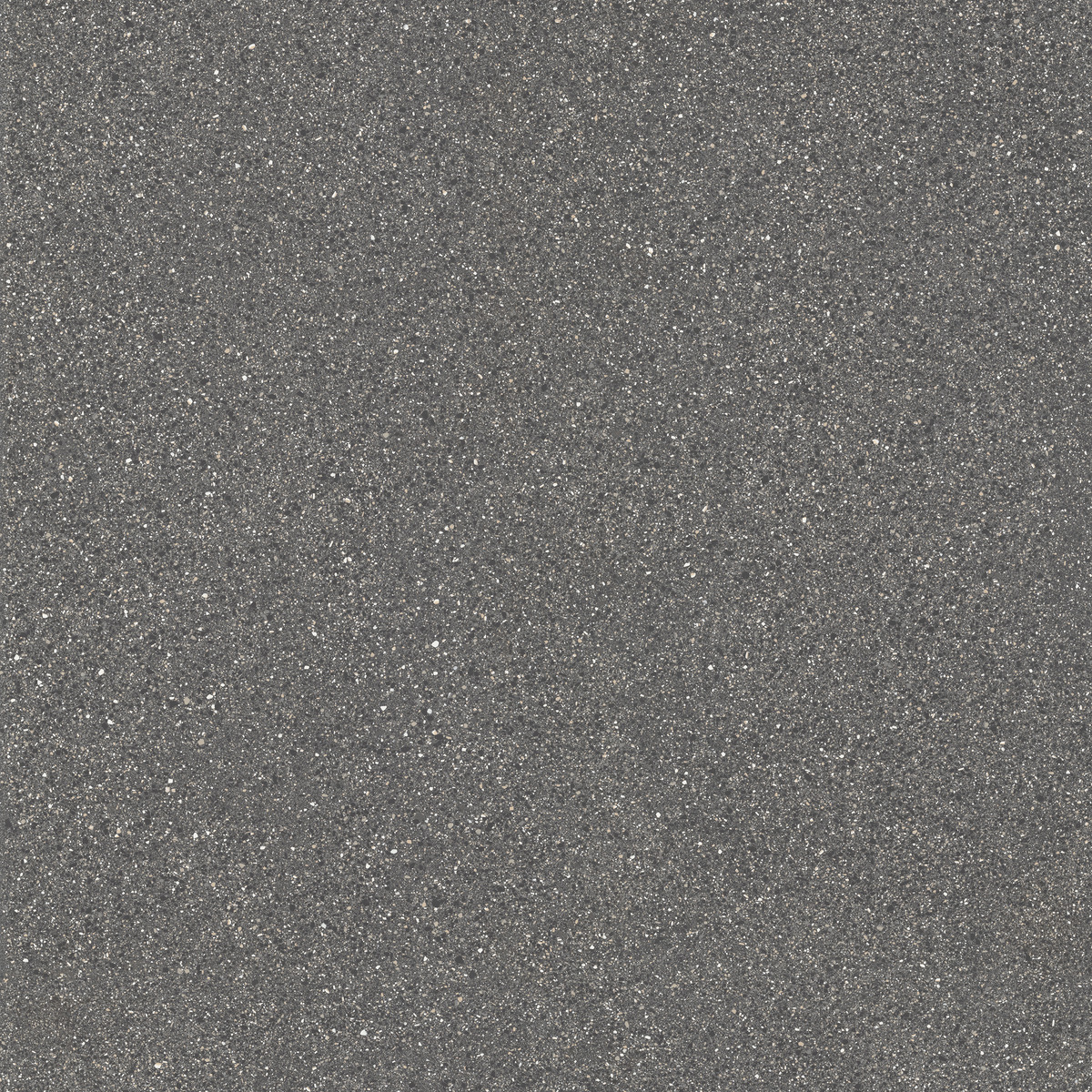 Pisani Levigato polished FMG, Palladio