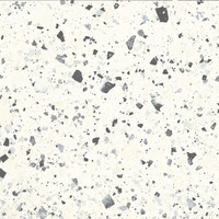 Venice White Levigato polished FMG, Venice Villa