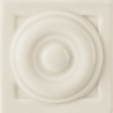Agave Glossy Grazia, New Classic