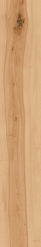 Murano Grip Atlas Concorde, Log Cansei