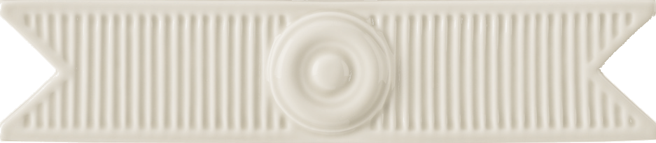 Agave Glossy Grazia, New Classic