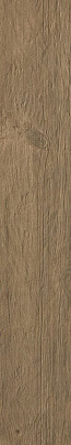 Brown Chestnut Atlas Concorde, Axi