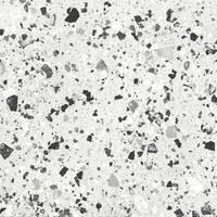 Venice Silver Levigato polished FMG, Venice Villa