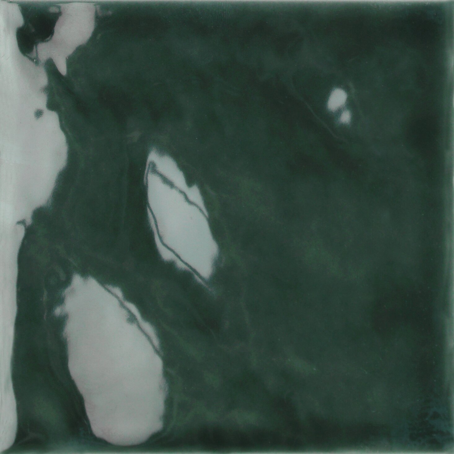 Ficus Tonalite, Fluid
