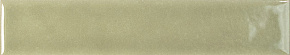Sage Gloss WOW, NOUVELLE