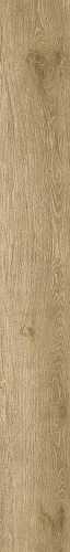 Chardonnay Atlas Concorde Russia, Wine Oak