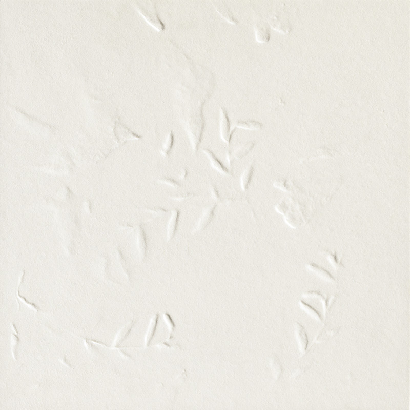Impronta White Mutina, Chymia