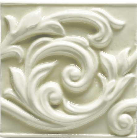 Felce Glossy Grazia, Essenze