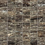 Gray Mosaic Atlas Concorde Russia, Epos