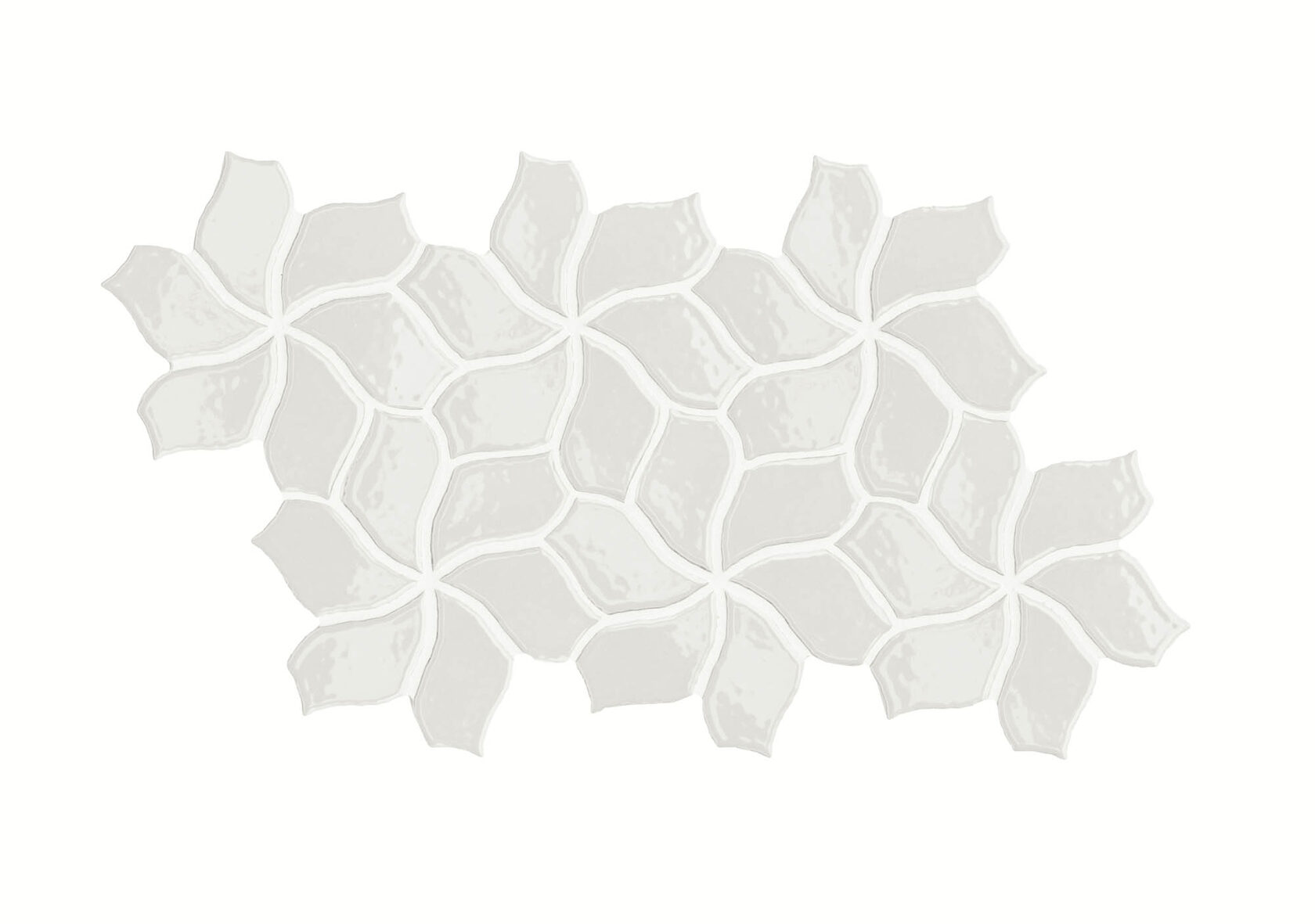 Flower White Glossy Mutina, Botanica