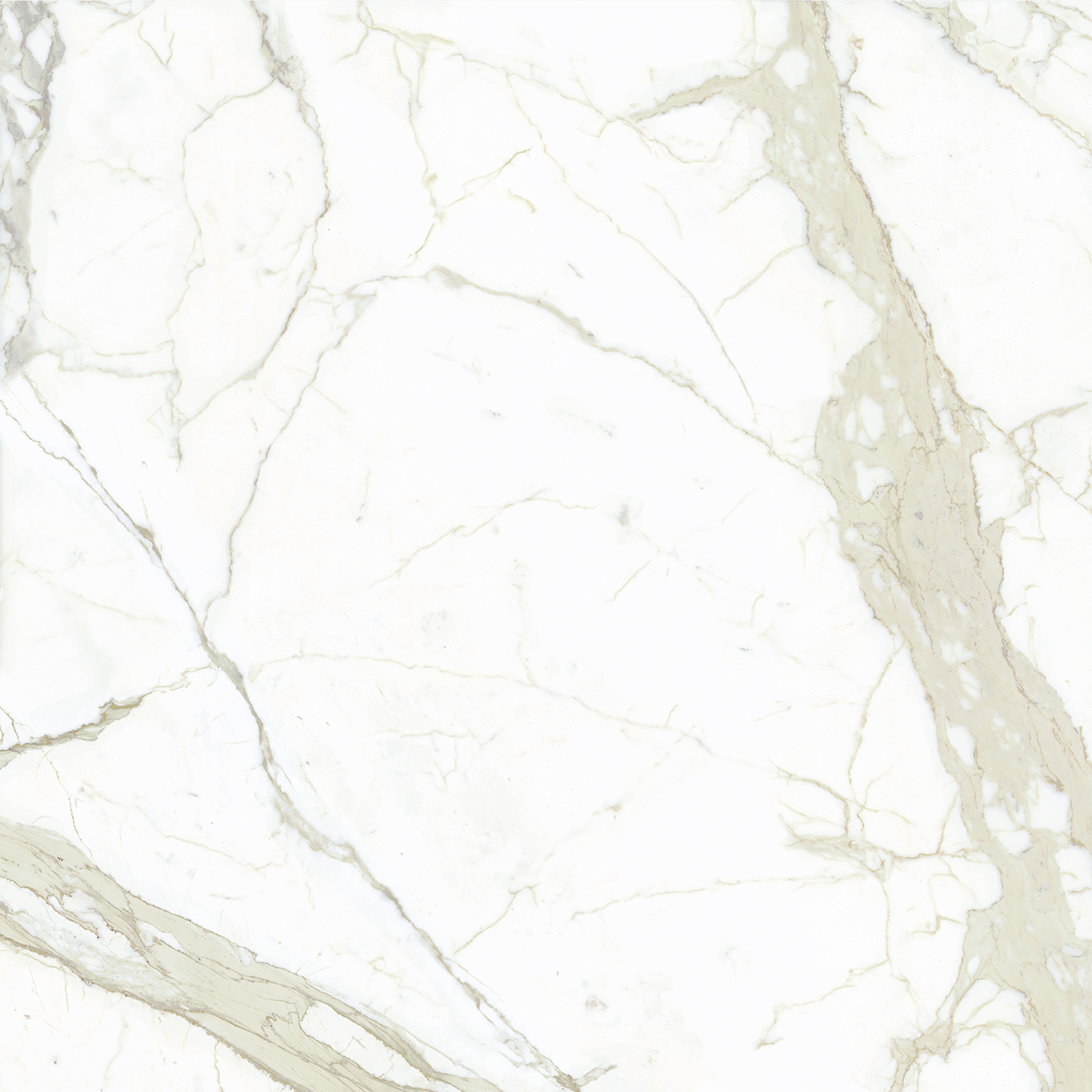 White Calacatta FMG, Marmi Maxfine