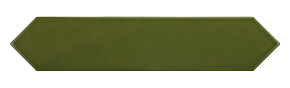 Green Kelp EQUIPE, ARROW