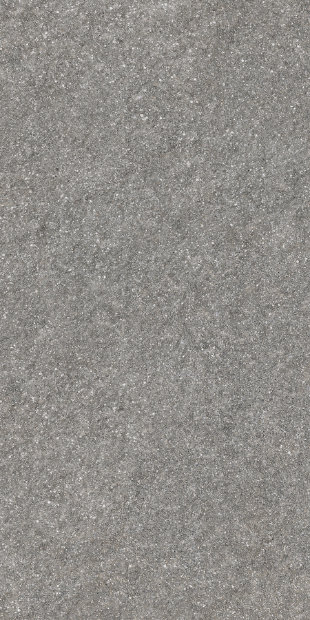 Porfido 60x120 - 24"x48" Kronos