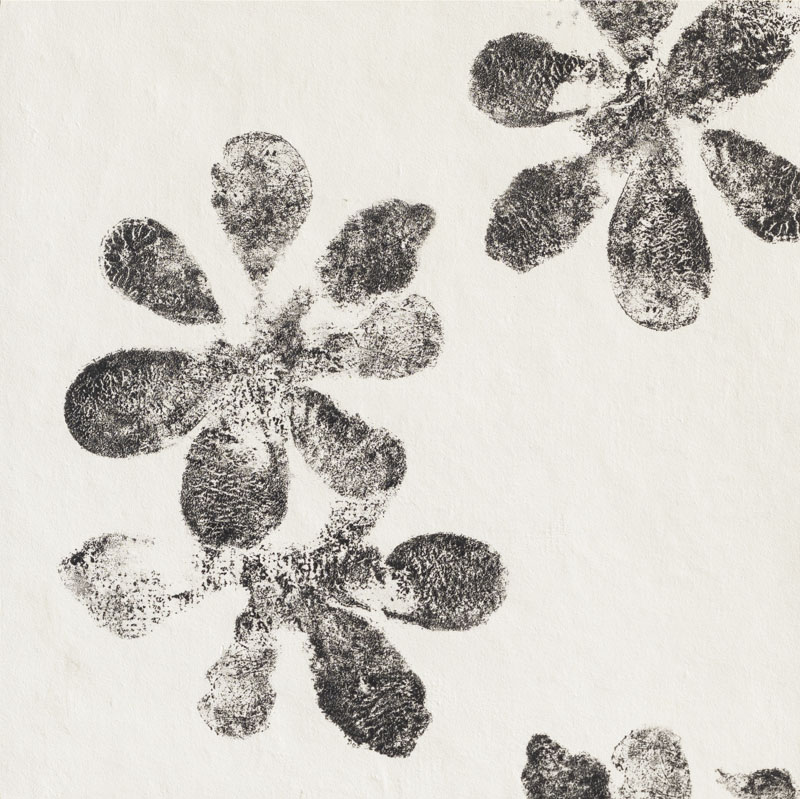 Ophelia White Mutina, Chymia