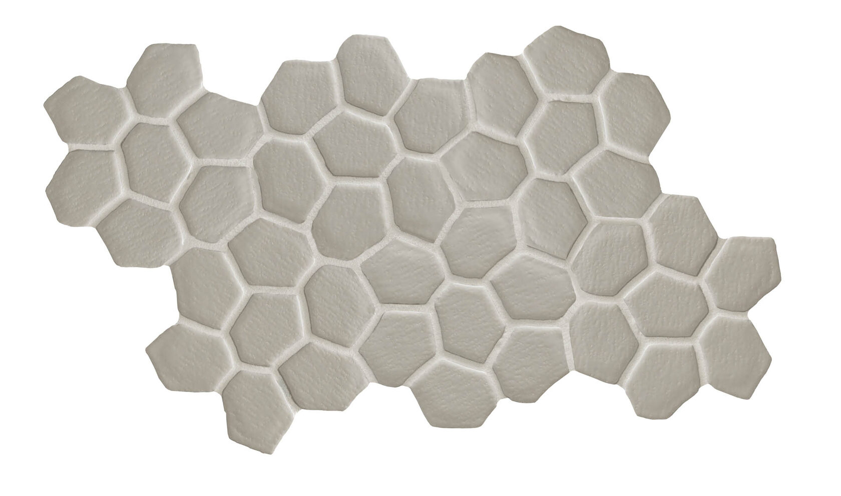 Seed Grey Glossy Mutina, Botanica