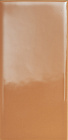 Caramel Glossy 41zero42, MOU