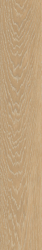 Icon Flamed Atlas Concorde, Log Select