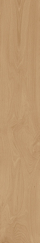 Fenice Grip Atlas Concorde, Log Cansei