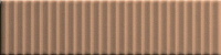 Strip Terra 41zero42, BISCUIT
