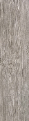 Silver Fir Atlas Concorde, Axi