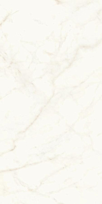 Calacatta Delicato Matte Atlas Concorde, Marvel Shine