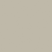 Grey 41zero42, PIXEL41