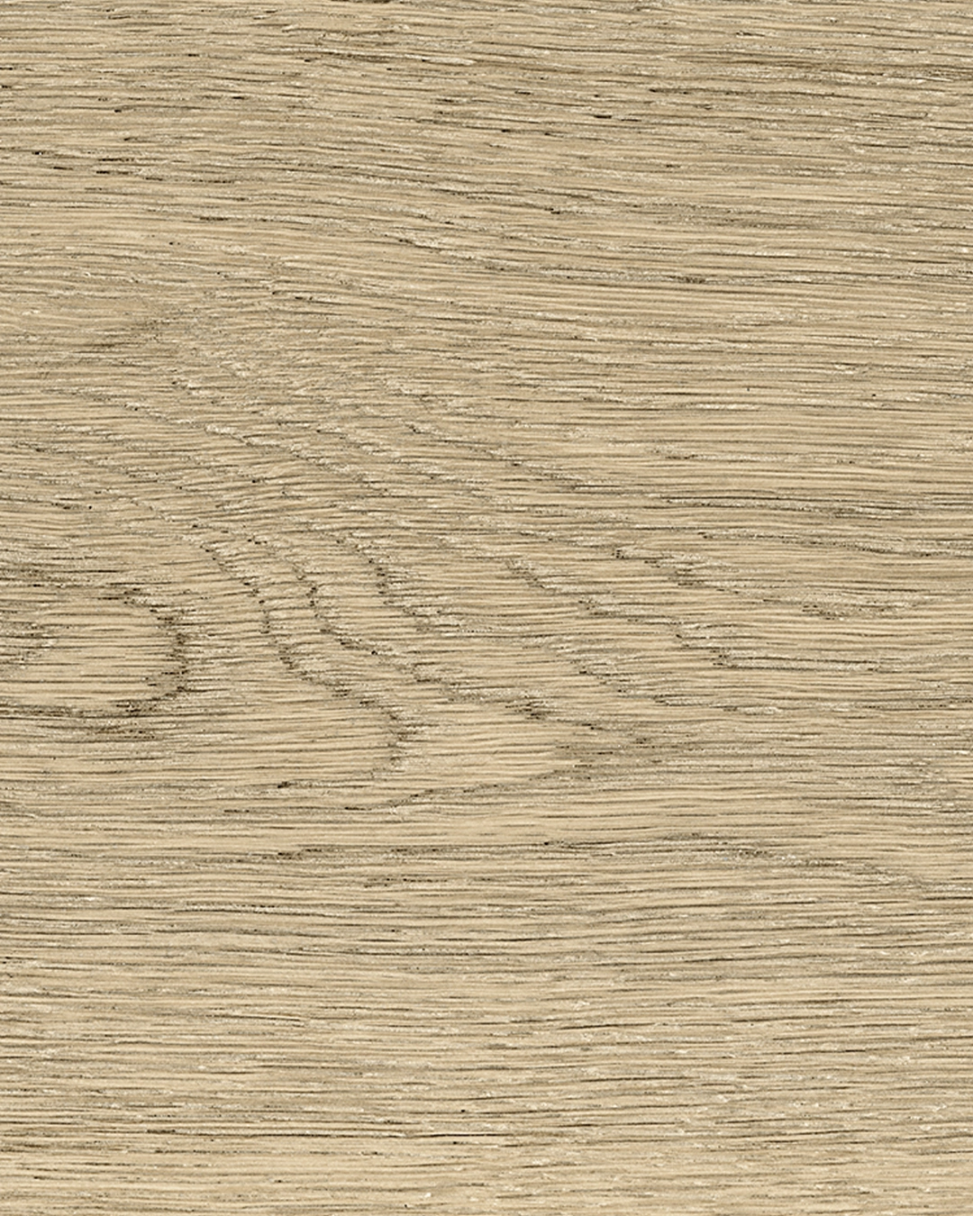 Canella Living Ceramics, Due