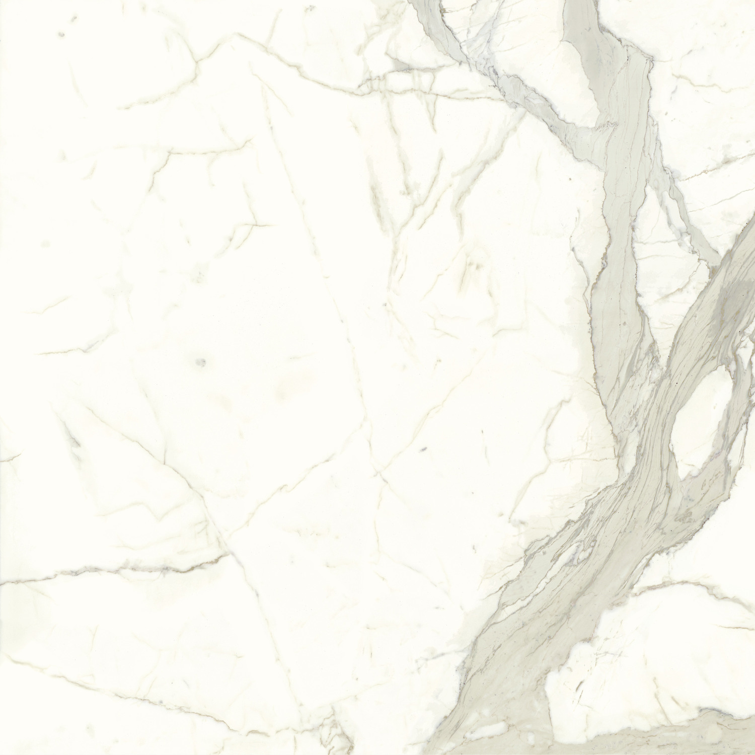 White Calacatta — изображение товара 7